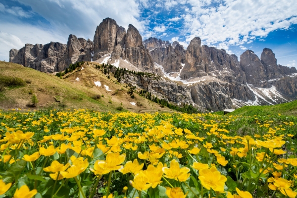 GRAN TOUR DELLE DOLOMITI - luglio 2021