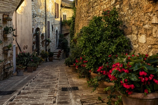 L’INFIORATA DI SPELLO E LA FIORITURA DELLE LENTICCHIE