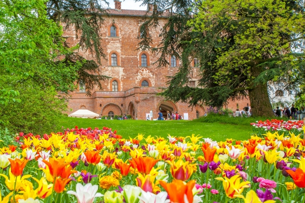 CASTELLO di PRALORMO MESSER TULIPANO