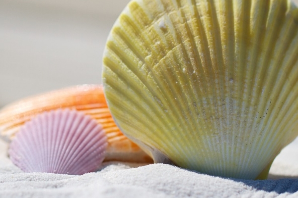 GIORNATA AL MARE A VARAZZE 4 AGOSTO