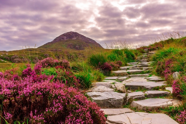 IRLANDA SUD E NORD 11 18 AGOSTO 